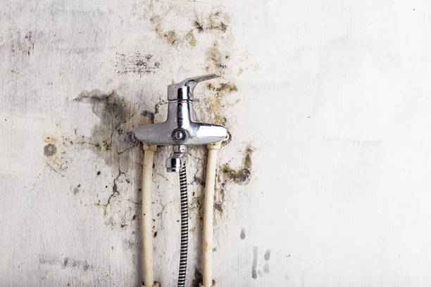 Best Mold Testing  in Stlman Valley, IL
