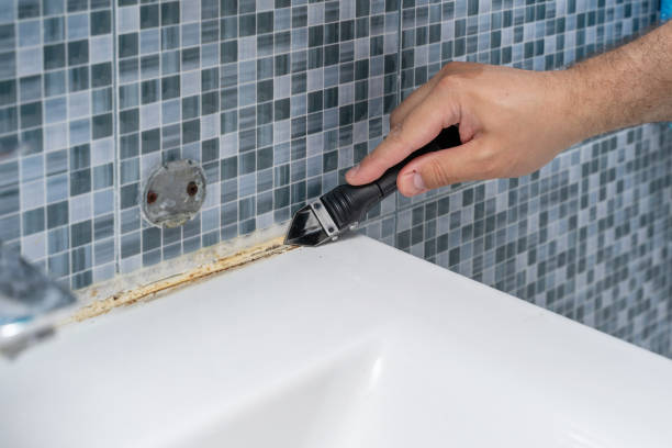 Best Affordable Mold Removal  in Stlman Valley, IL
